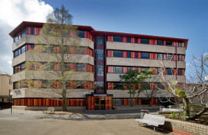 Construction Company University of Auckland Building